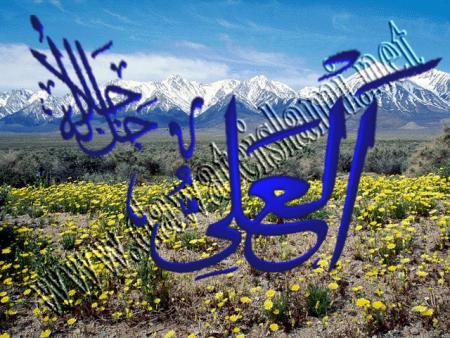al3aliyo